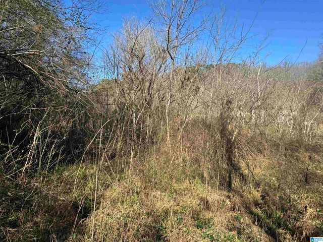 6944 OLD SPRINGVILLE ROAD, Pinson, AL 35126