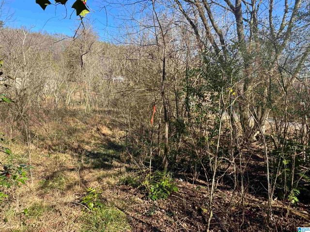 6944 OLD SPRINGVILLE ROAD, Pinson, AL 35126