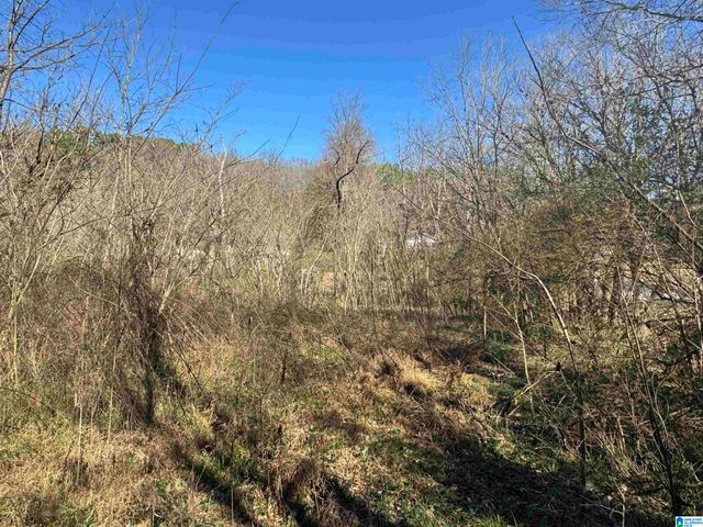 6944 OLD SPRINGVILLE ROAD, Pinson, AL 35126