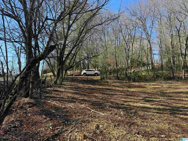 6944 OLD SPRINGVILLE ROAD, Pinson, AL 35126