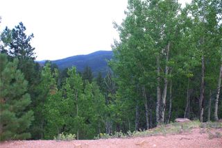 490 Grosbeak Circle, Divide, CO 80814