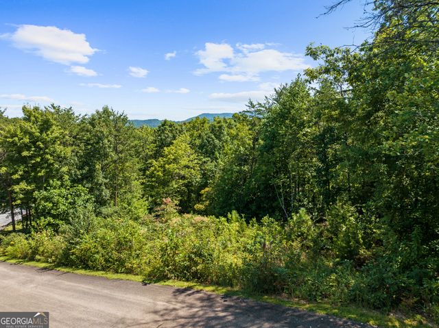 LOT 26 Staurolite Mountain Road, Blue Ridge, GA 30513