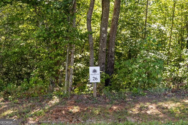 LOT 26 Staurolite Mountain Road, Blue Ridge, GA 30513