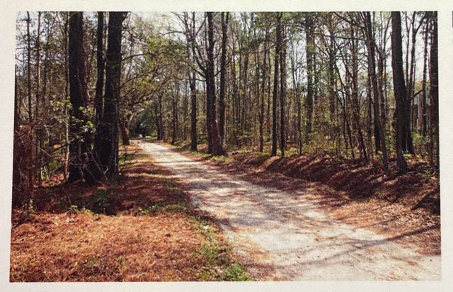 1690 Highway 41, Mount Pleasant, SC 29466