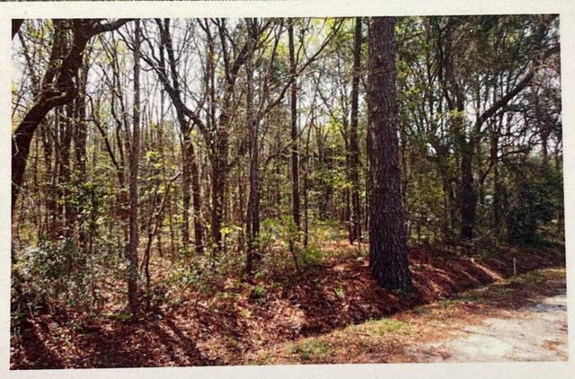 1690 Highway 41, Mount Pleasant, SC 29466