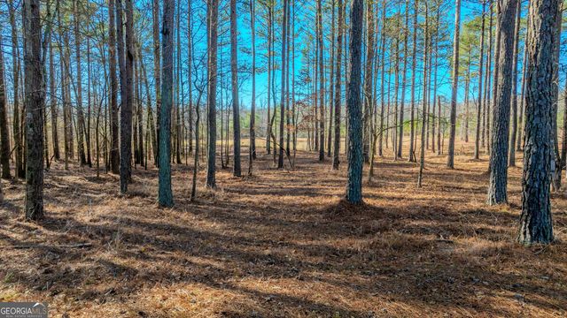 2161 Bear Creek Road, Moreland, GA 30259