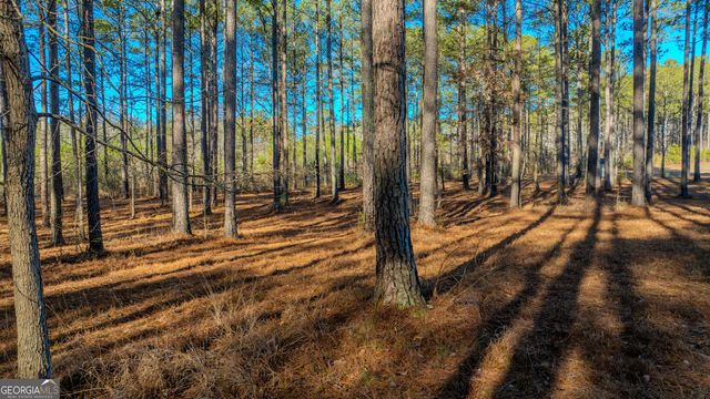 2161 Bear Creek Road, Moreland, GA 30259