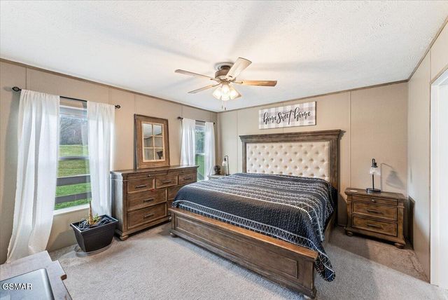 590 McGaha Chapel Road, Cosby, TN 37722