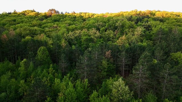 3824 County Hwy E, Warrens,warrens, WI 54666