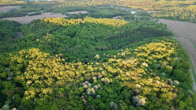 3824 County Hwy E, Warrens,warrens, WI 54666