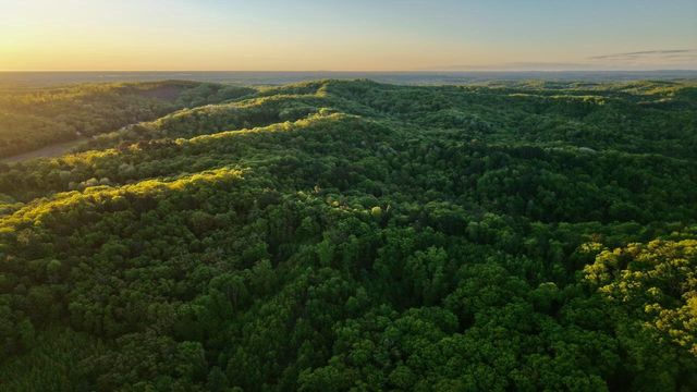 3824 County Hwy E, Warrens,warrens, WI 54666