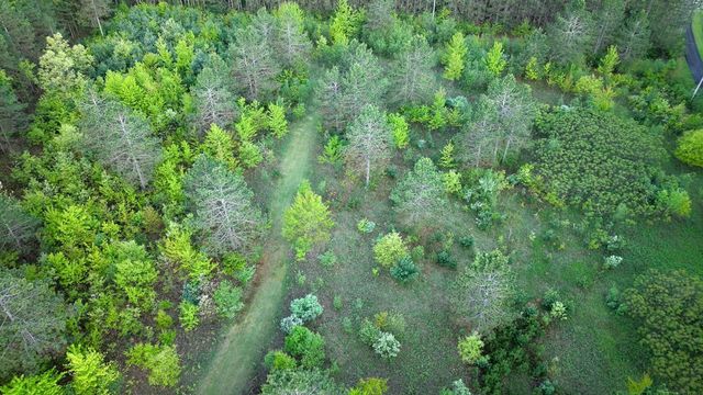 3824 County Hwy E, Warrens,warrens, WI 54666