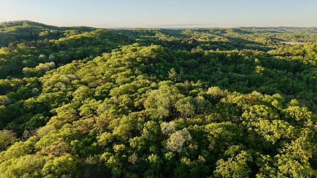 3824 County Hwy E, Warrens,warrens, WI 54666