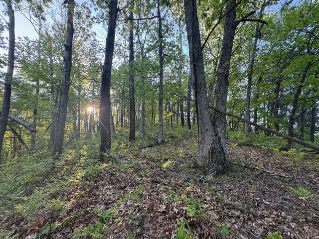 3824 County Hwy E, Warrens,warrens, WI 54666