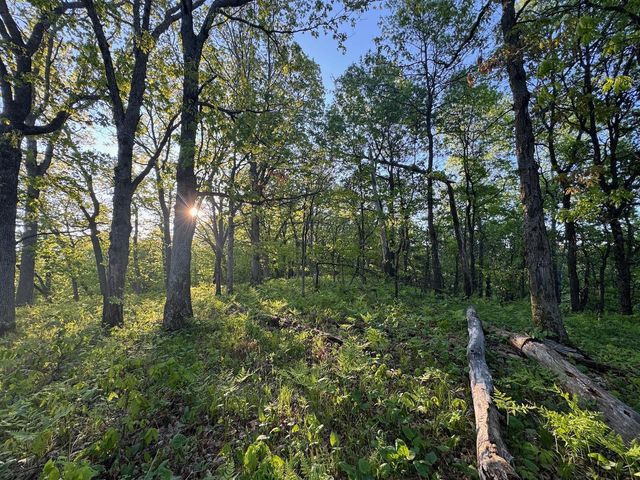 3824 County Hwy E, Warrens,warrens, WI 54666