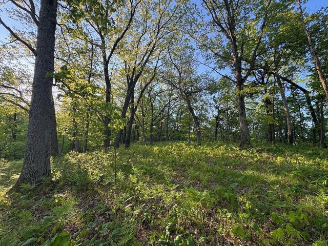 3824 County Hwy E, Warrens,warrens, WI 54666