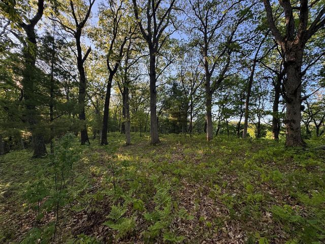 3824 County Hwy E, Warrens,warrens, WI 54666