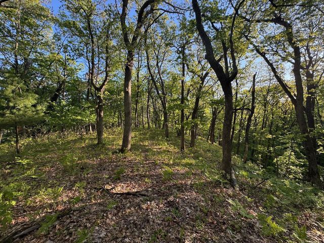 3824 County Hwy E, Warrens,warrens, WI 54666