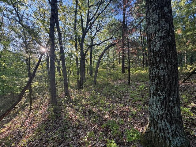 3824 County Hwy E, Warrens,warrens, WI 54666