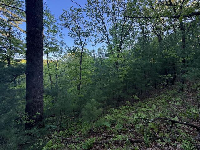 3824 County Hwy E, Warrens,warrens, WI 54666