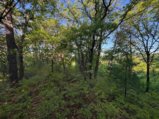 3824 County Hwy E, Warrens,warrens, WI 54666