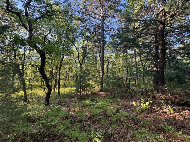 3824 County Hwy E, Warrens,warrens, WI 54666