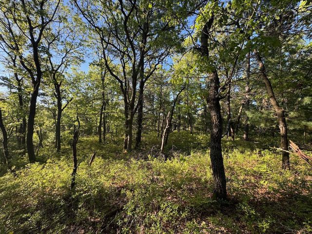 3824 County Hwy E, Warrens,warrens, WI 54666