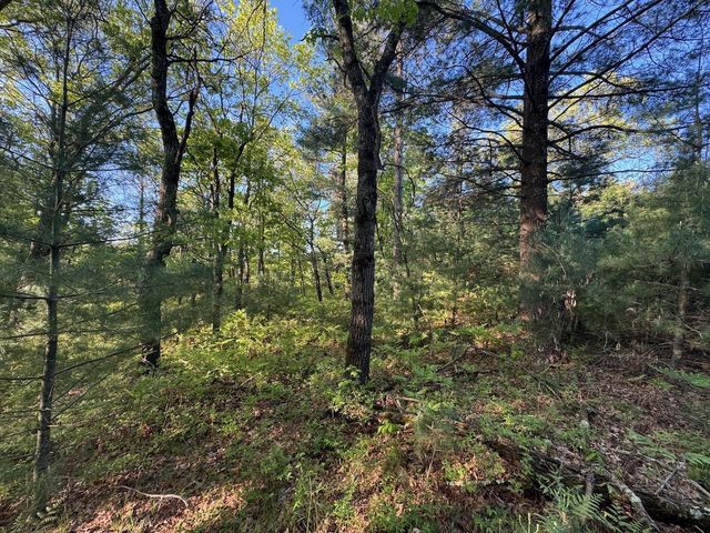 3824 County Hwy E, Warrens,warrens, WI 54666