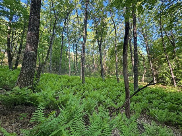 3824 County Hwy E, Warrens,warrens, WI 54666