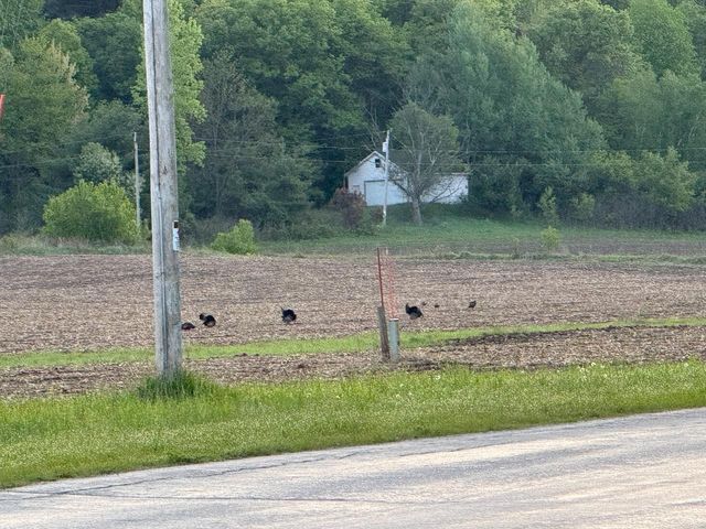 3824 County Hwy E, Warrens,warrens, WI 54666