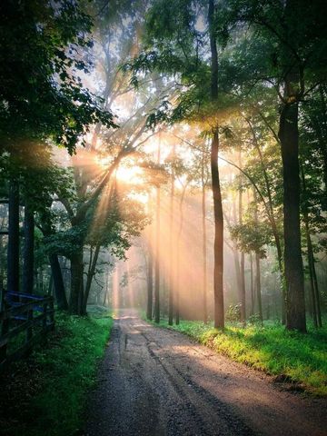 3705 Grand River Drive NE, Grand Rapids, MI 49525