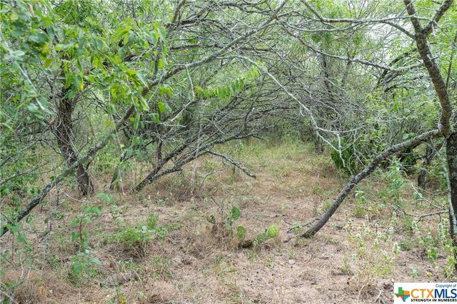 TBD Fm 671, Luling, TX 78648