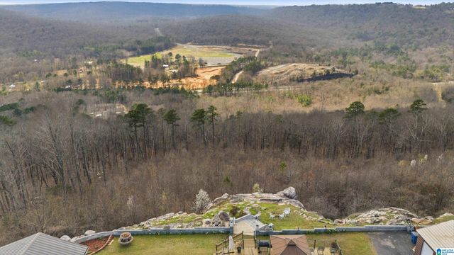 535 GRANDVIEW TRAIL, Warrior, AL 35180