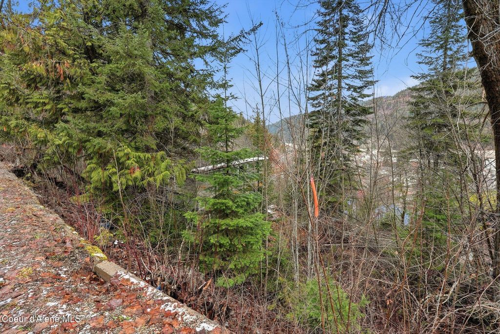 307 Elm ST, Wallace, ID 83873 photo 10