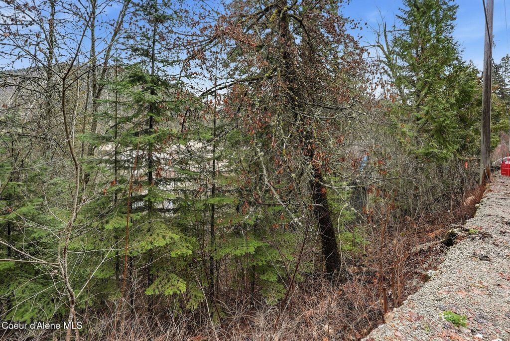 307 Elm ST, Wallace, ID 83873 photo 11