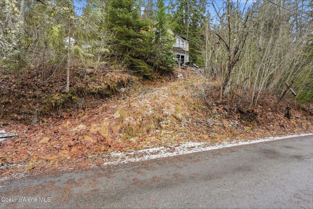 307 Elm ST, Wallace, ID 83873 photo 7