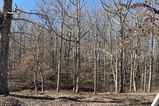 9388 Harrison Ferry Rd, Mcminnville, TN 37110