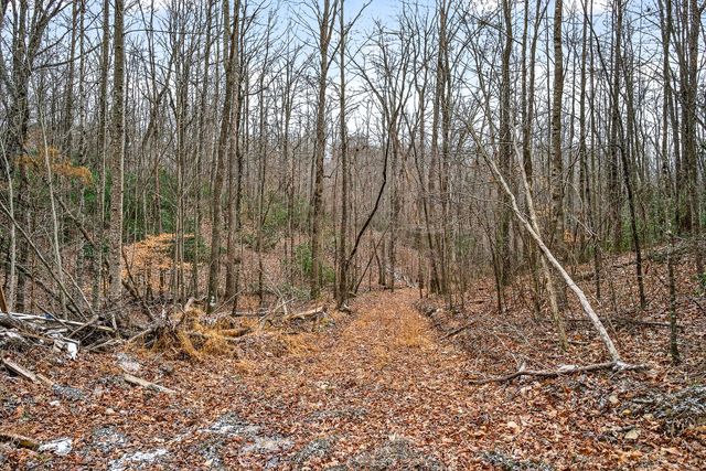 9388 Harrison Ferry Rd, Mcminnville, TN 37110