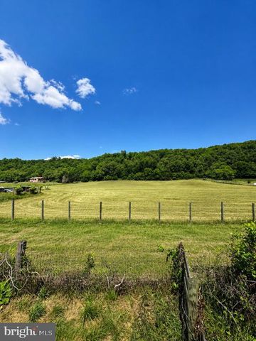 134 SPRING MOUNTAIN WAY, Fort Valley, VA 22652