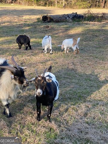 696 GA Hwy 49 No Street Suffix W, Milledgeville, GA 31061