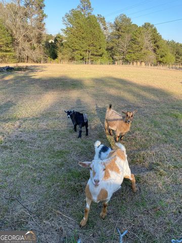 696 GA Hwy 49 No Street Suffix W, Milledgeville, GA 31061