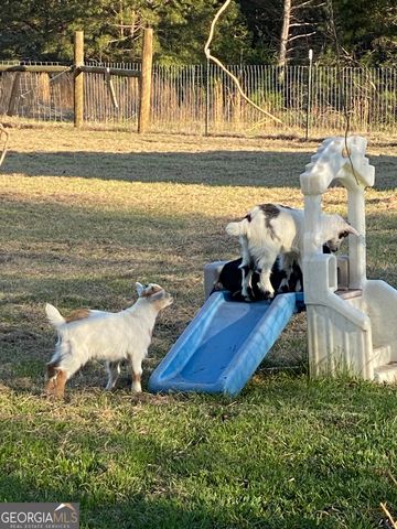 696 GA Hwy 49 No Street Suffix W, Milledgeville, GA 31061