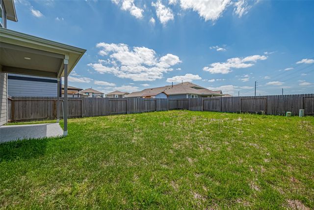17711 Vernonia Lane, Hockley, TX 77447