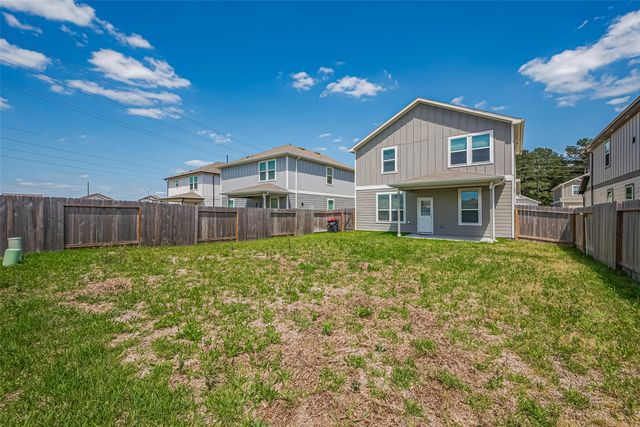 17711 Vernonia Lane, Hockley, TX 77447