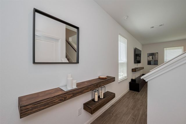 17711 Vernonia Lane, Hockley, TX 77447
