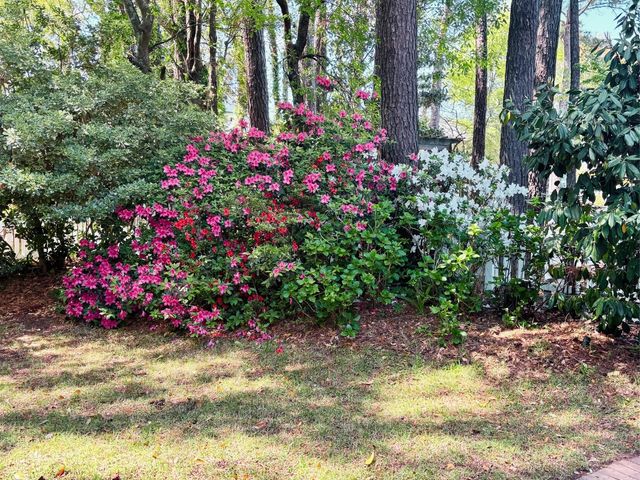 1520 Faith Street, Mount Pleasant, SC 29466