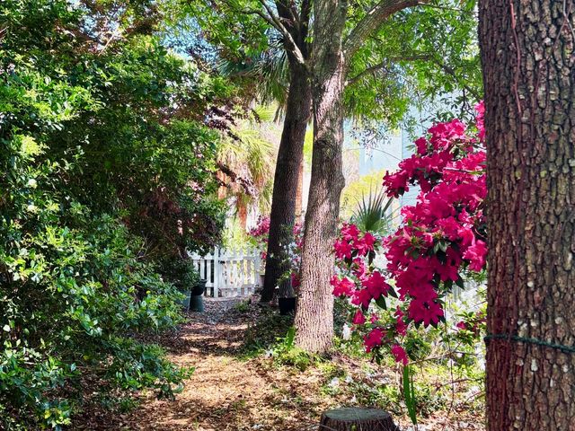 1520 Faith Street, Mount Pleasant, SC 29466