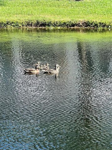 1063 PASEO DEL RIO NE, St Petersburg, FL 33702