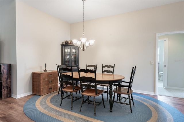 3009 OLENDA DRIVE, The Villages, FL 32163
