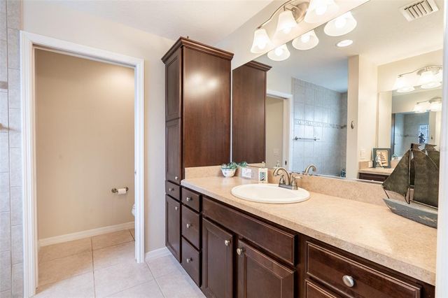 3009 OLENDA DRIVE, The Villages, FL 32163